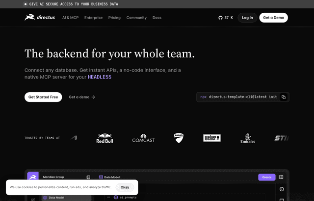 Directus product homepage