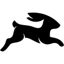 Directus logo
