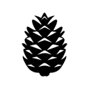 Pinecone logo